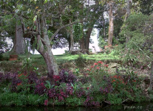 Sepenggal Surga di Aroma Pecco