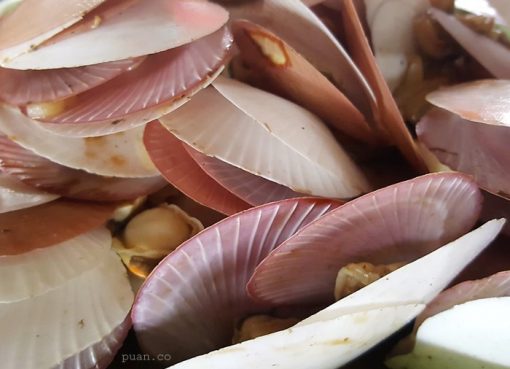 Depok dan Cemara Sewu1