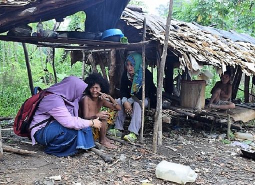 Berkelana ke Makekal Hulu, Taman Nasional Bukit Duabelas