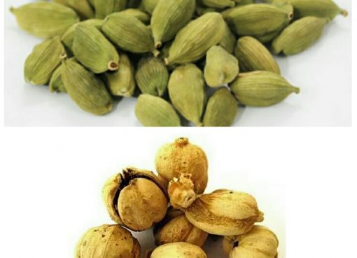 Si Hijau dan Si Putih Kapulaga