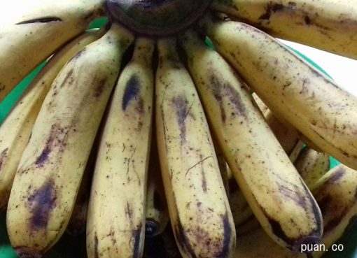 Manfaat Istimewa Pisang Barangan