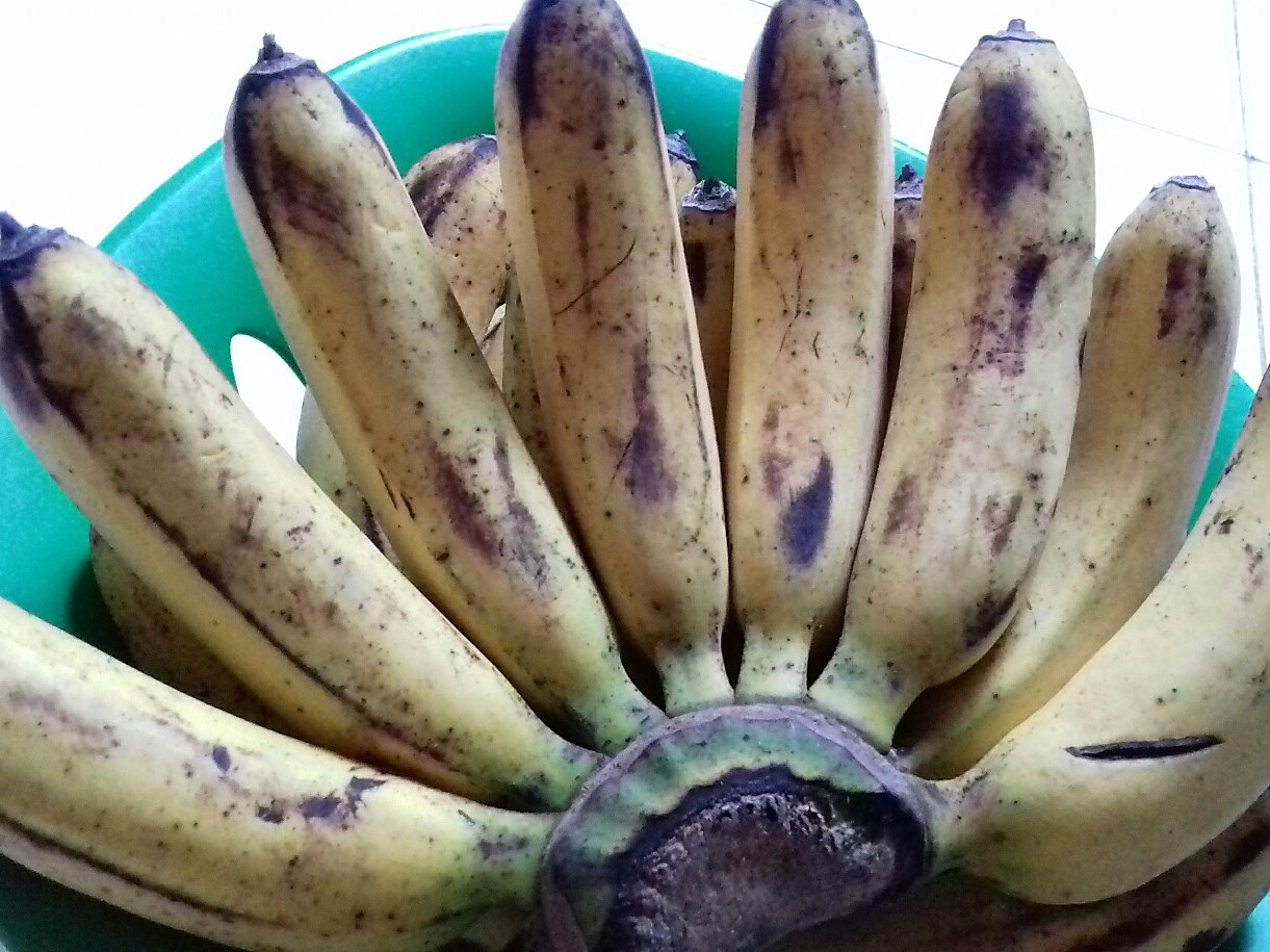 Tips Memilih Pisang Barangan